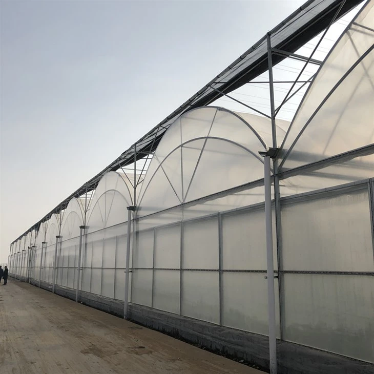 Large commercial hoop greenhouse