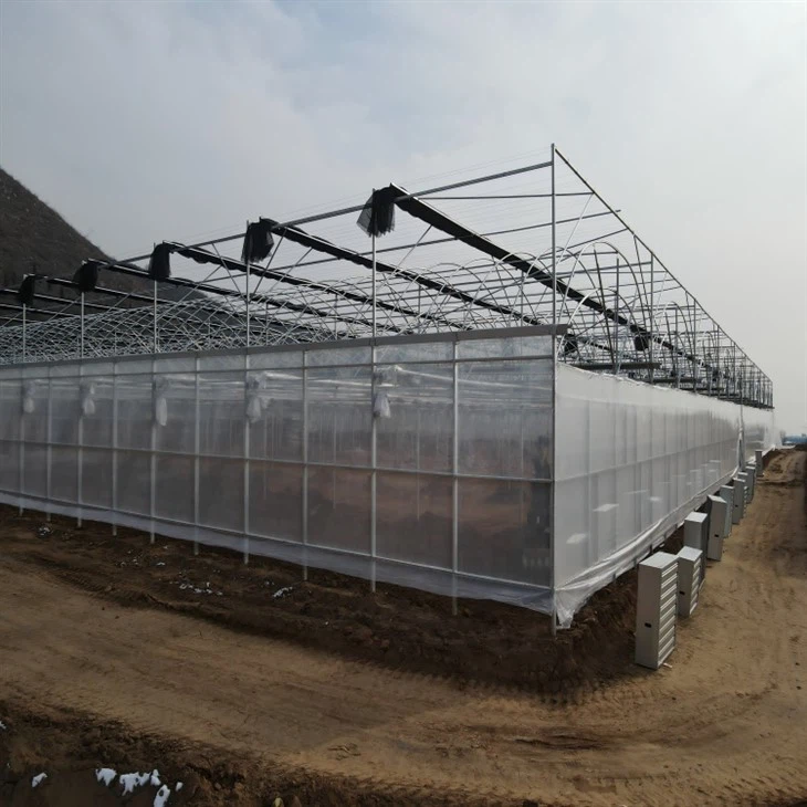 Steel Frame Polytunnel factory